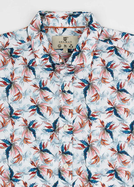 CAMISA M/L JINUS