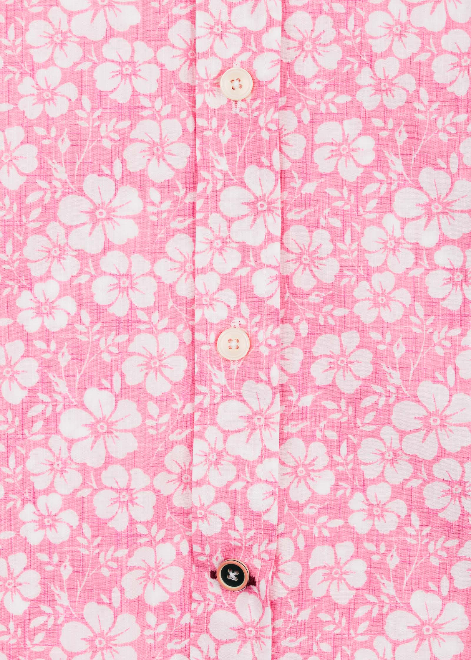 CAMISA M/L ACCIAROLI
