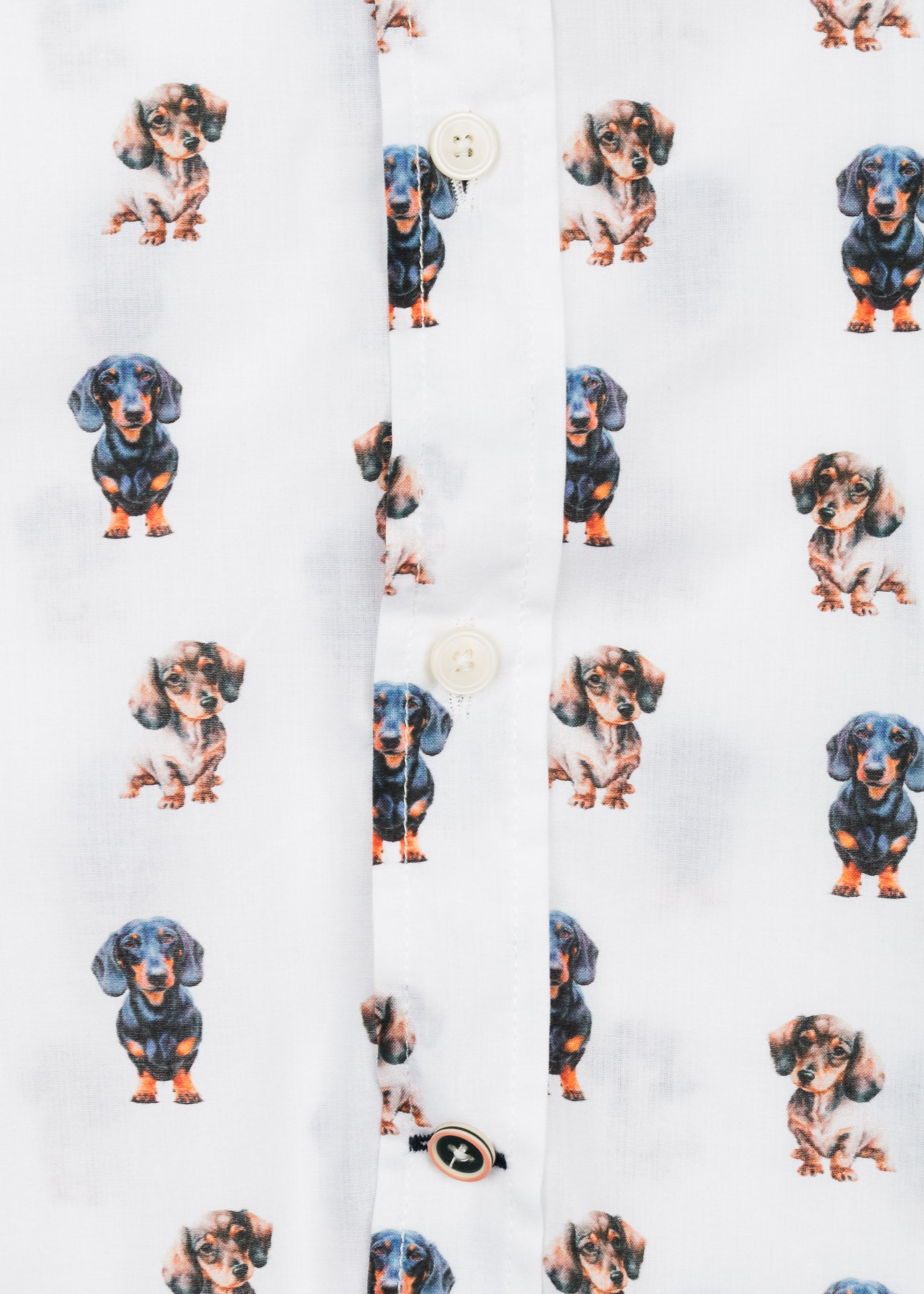 CAMISA M/L ESTAMPADA VOILÈ DACHSHUND